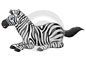 Happy zebra cartoon lay down