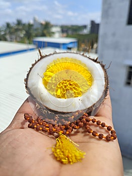 Har Har Mahadev Prasad coconut and Rudraksh
