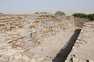 Harappa Civilization