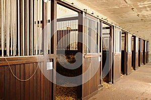 Haras National du Pin in Normandie photo