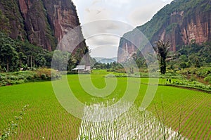 Harau Valley