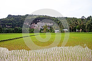 Harau Valley in West Sumatra, Indonesia