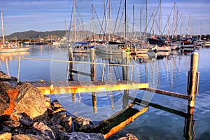 Harbor