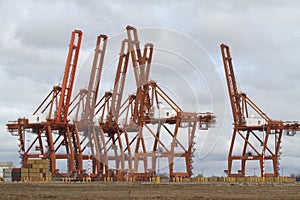 Harbor cranes