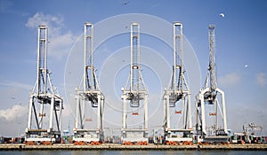 Harbor cranes 2