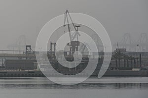 Harbor with mist and cranes photo