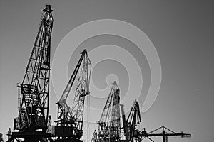 Harbor cranes black and white photo portrait