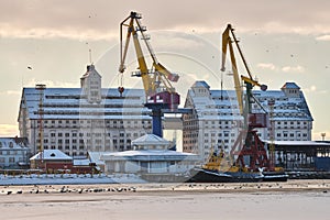 Harbor cranes, container ship terminal, cargo container yard