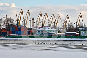 Harbor cranes, container ship terminal, cargo container yard