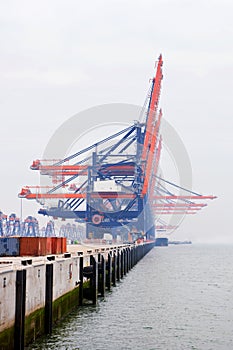 Harbor cranes in the mist