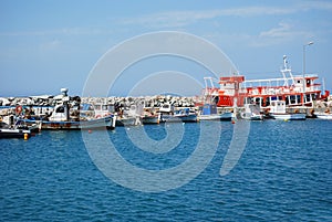 Harbor with fishing boats