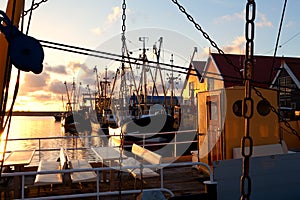 Harbor with fishing ships, Zoutkapm, Netherlands