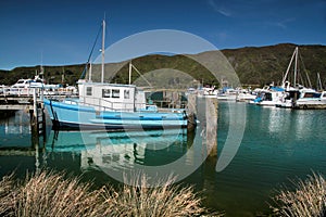 Harbor of Havelock in the Marlborough Sounds