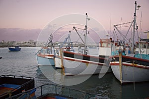 Harbor in Lambert\'s Bay, with crayfish trawlers moored on quayside.