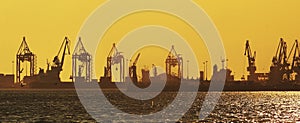 Harbor silhouette at sunset with cranes