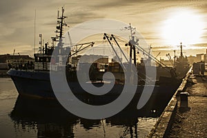 Harbor silhouette