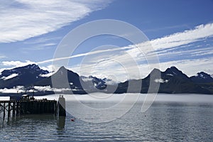 Harbor in Valdez photo