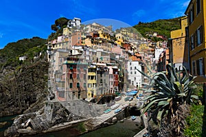 Harbor view in Riomaggiore, Cinque Terre