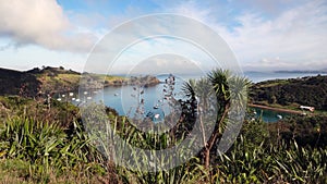 Harbor View from the top of Waiheke Island in New Zealand