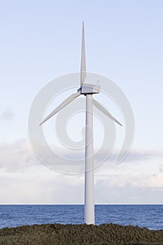 Harbor wind turbine