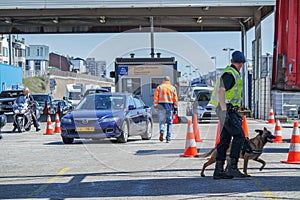 Harbour border control observing the people