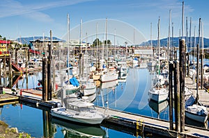 Boats in Harbour and Reflection in Water