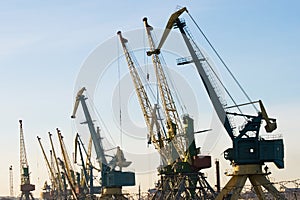 Harbour cranes