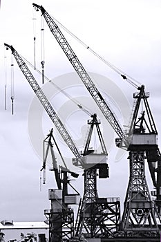 Harbour cranes