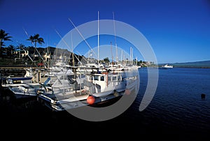 Harbour at Hawaii