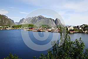 Harbour Lofoten islands