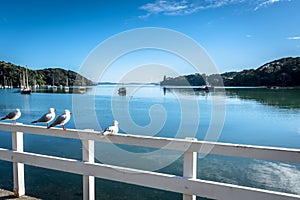 Harbour of Mangonui, New Zealand
