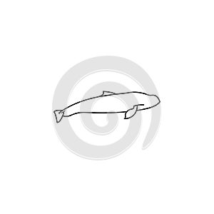 Harbour porpoise icon.Element of popular sea animals icon. Premium quality graphic design. Signs, symbols collection icon for webs