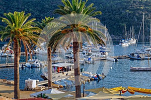 Harbour of Port Cros island, National Park Hyeres, France.