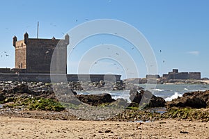 Harbour scala of Essaouira