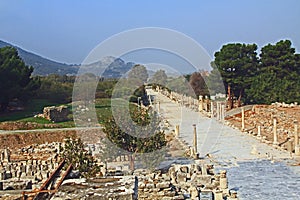 Harbour Street Archaeological Ruins in Ephesus Turkey