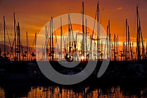 Harbour sunrise photo