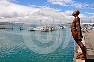 Harbour of Wellington, New Zealand