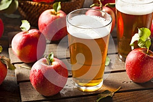 Hard Apple Cider Ale