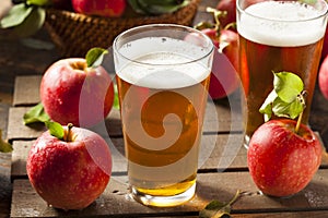 Hard Apple Cider Ale photo