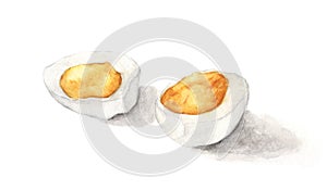 Hard boiled egg isolated on white background. Hand drawn watercolor illustration