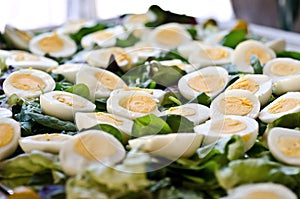 Hard boiled eggs and lettuce beautifully presented on a tray