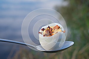 Hard-boiled eggs. Peeled boiled egg with spices on the yolk on a spoon nature background. Early healthy breakfast in the open air