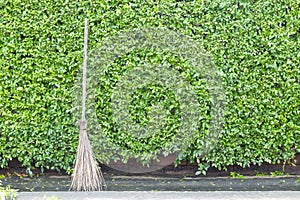 Hard broom Place it under the tree