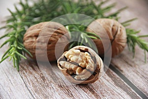 Hard brown walnut fruit in shell