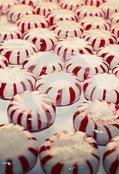 Hard candy cane mints vertical close up christmas peppermint background