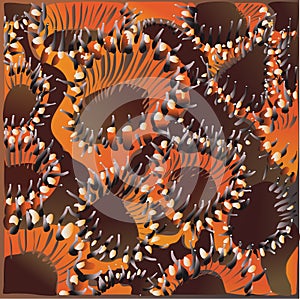 Hard coral polyps close up