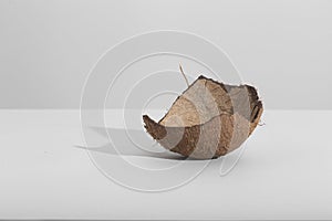 Hard light white background coconut and shell