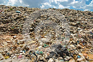 Hard plastic garbage decomposition. Pollution from the consumer society.
