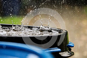 Hard rain is falling in a plastic barrel full of water in the garden