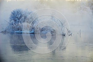 The hard rime of plants in winter fog river